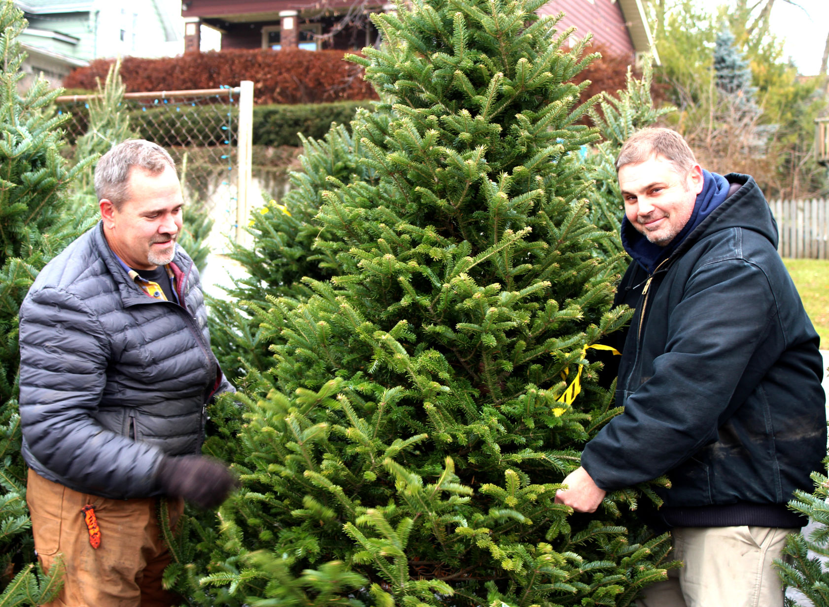 CHRISTMAS TREE FORECAST 2019
